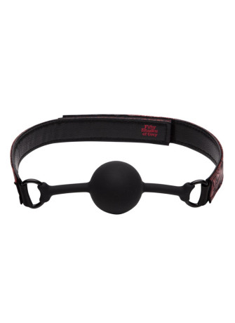 Sweet Anticipation Ball Gag